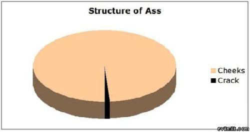 structure of an ass