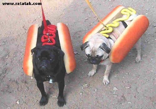 Hot dog ..